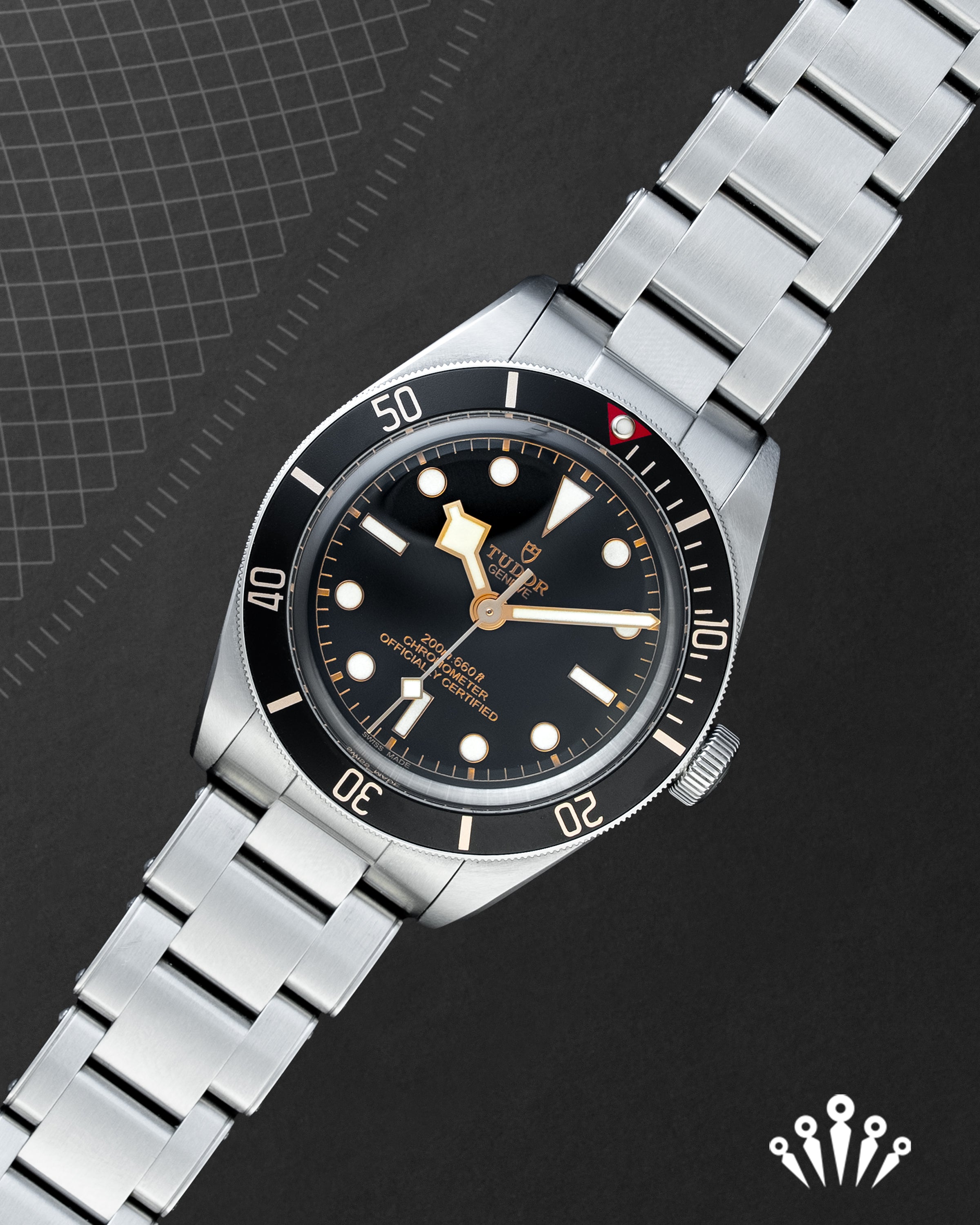 Tudor Black Bay