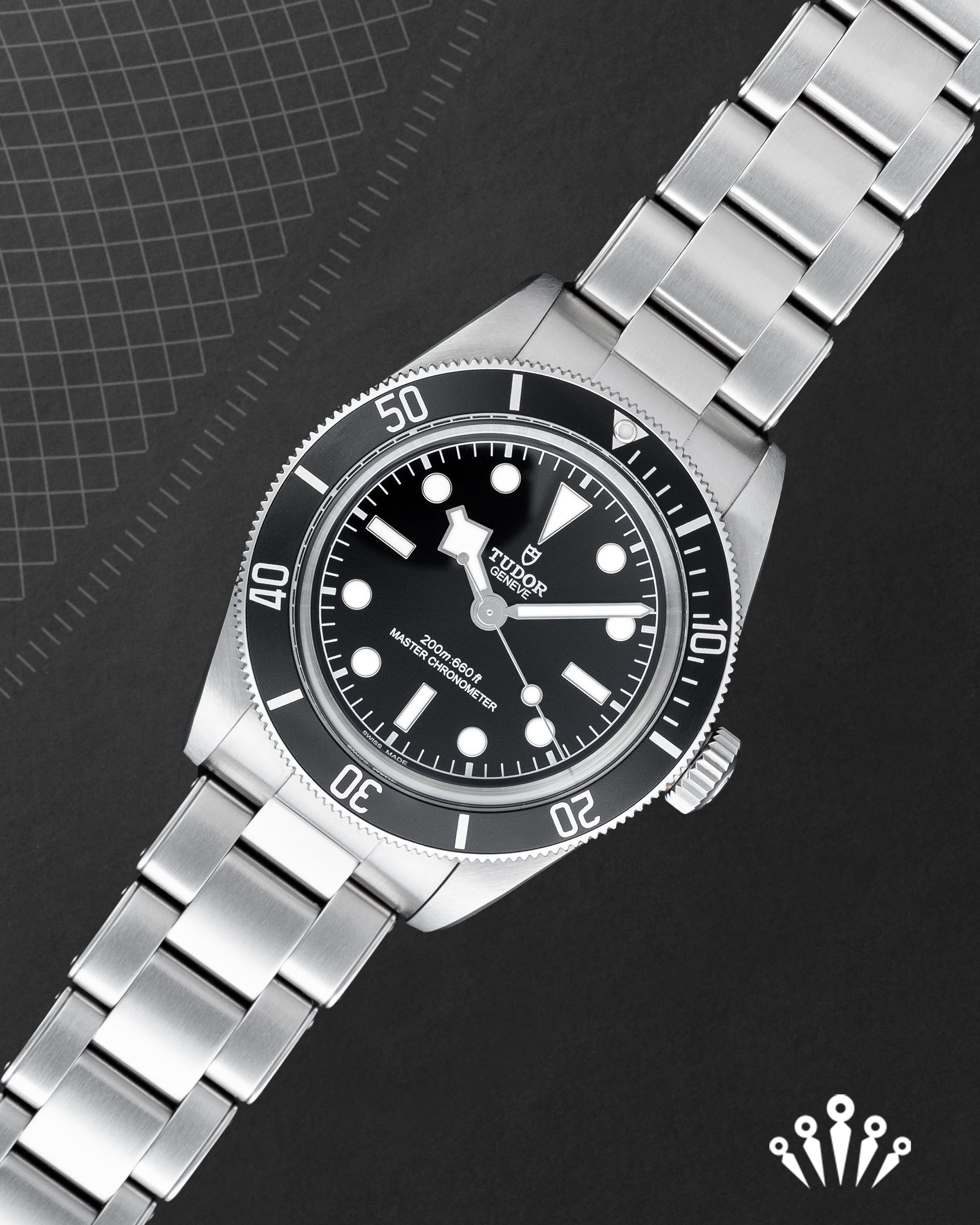 Tudor Black Bay Monochrome