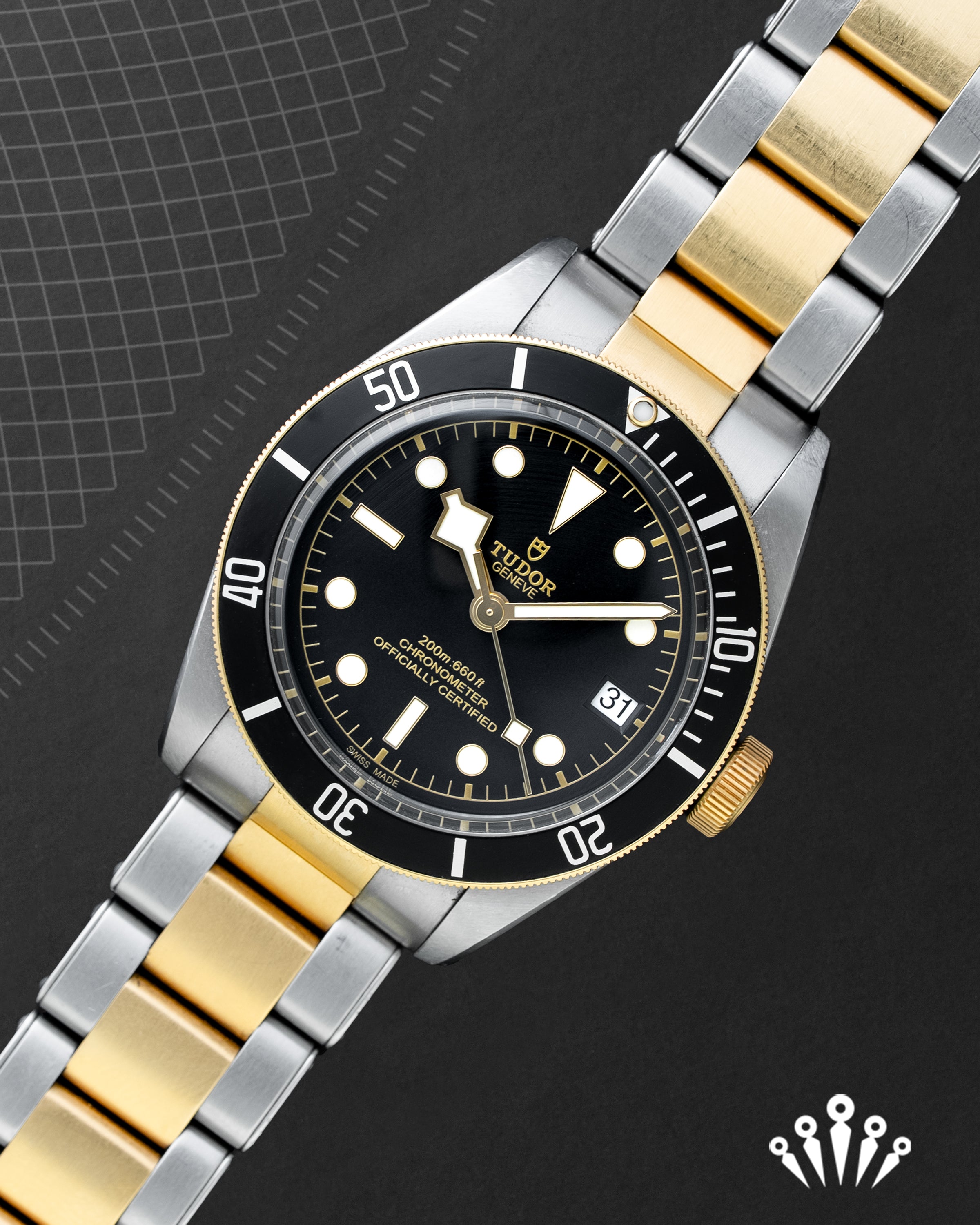 Tudor Black Bay S&G 79733N