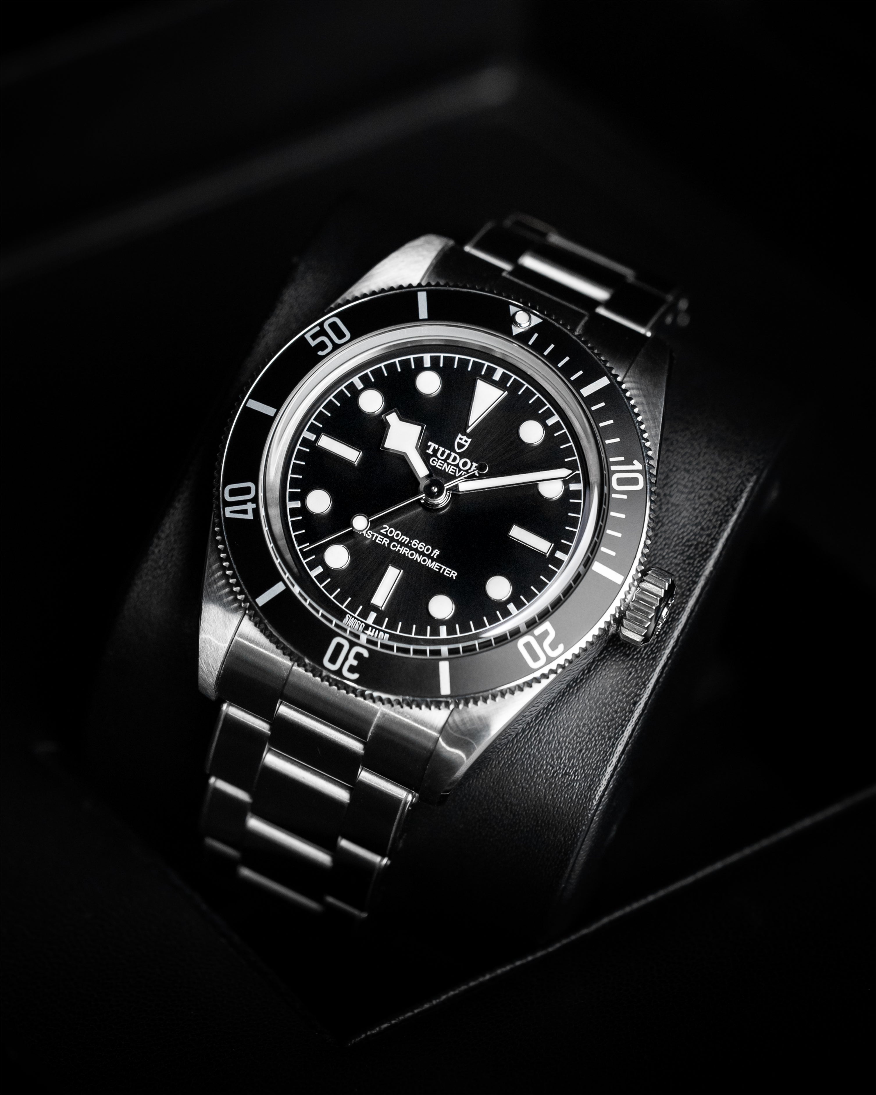 Tudor Black Bay Monochrome
