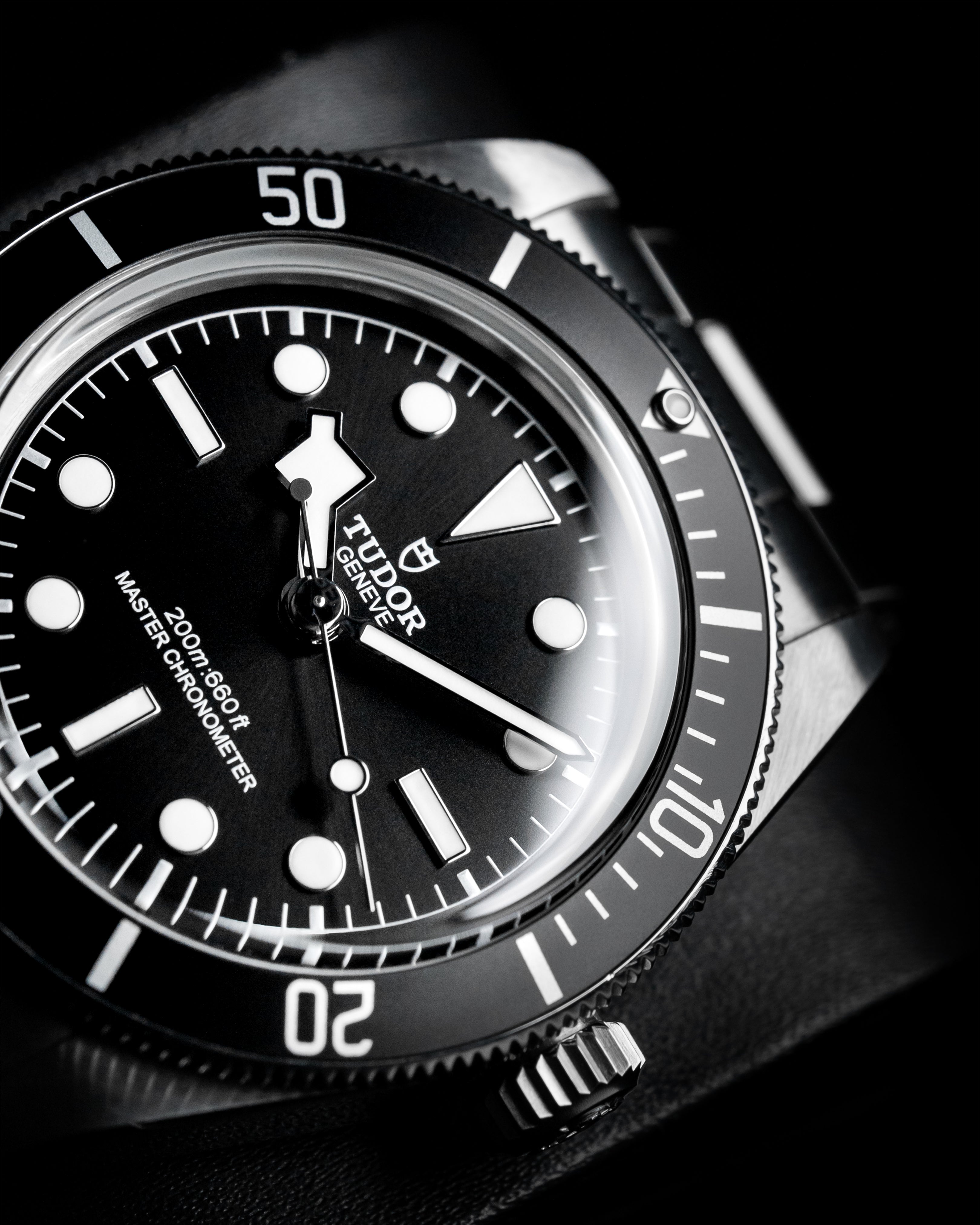 Tudor Black Bay Monochrome