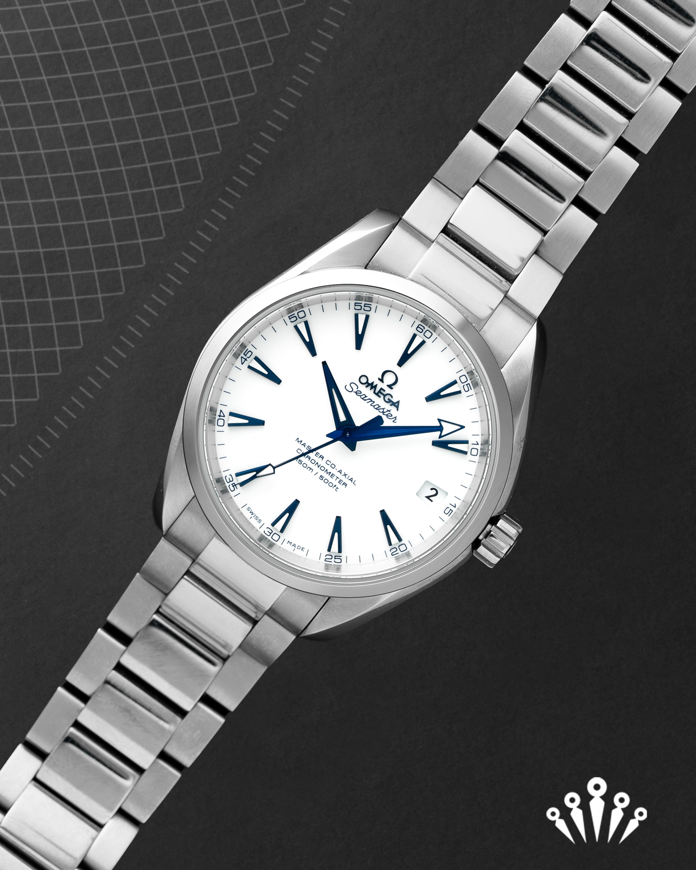 Omega Seamaster Goodplanet Foundation