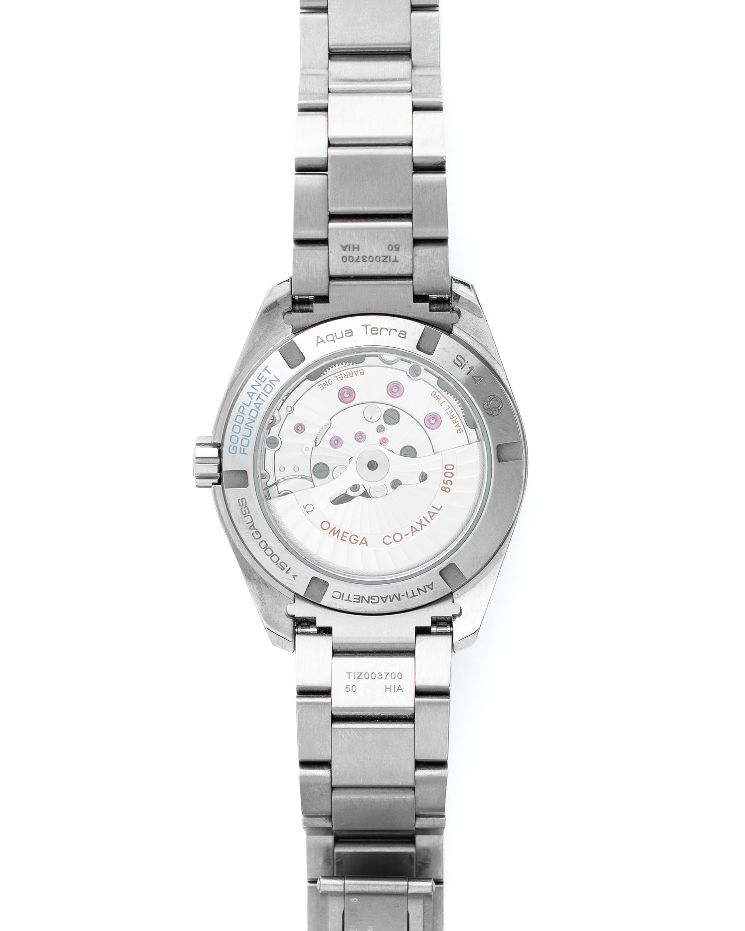 Omega Seamaster Goodplanet Foundation