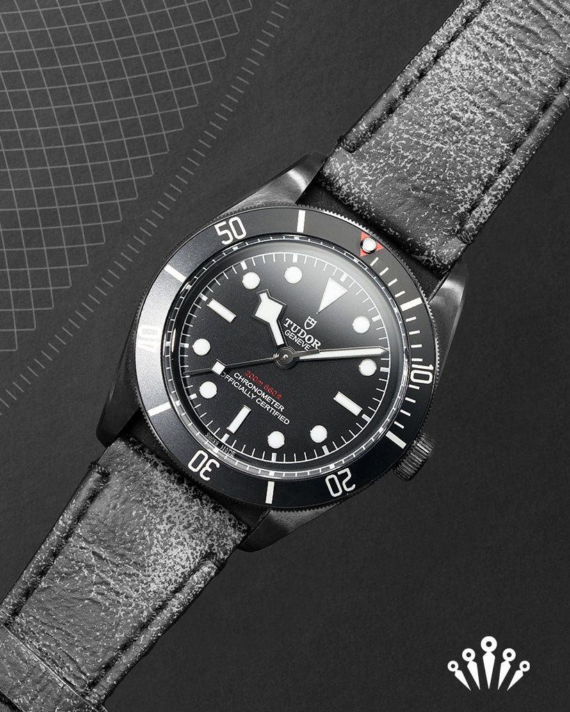 Tudor Black Bay