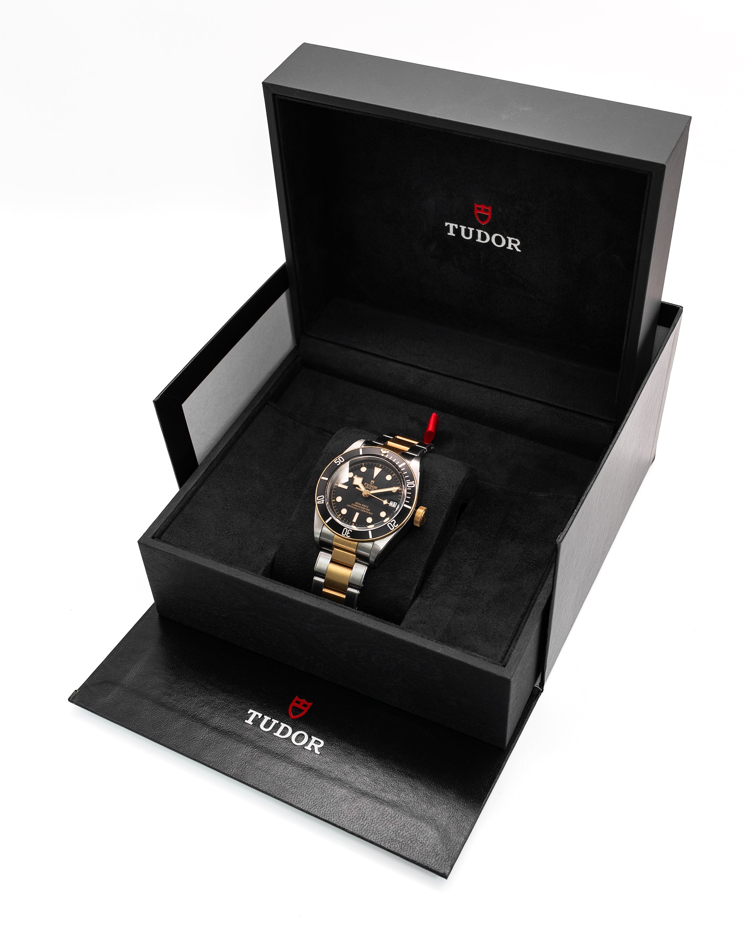 Tudor Black Bay S&G 79733N