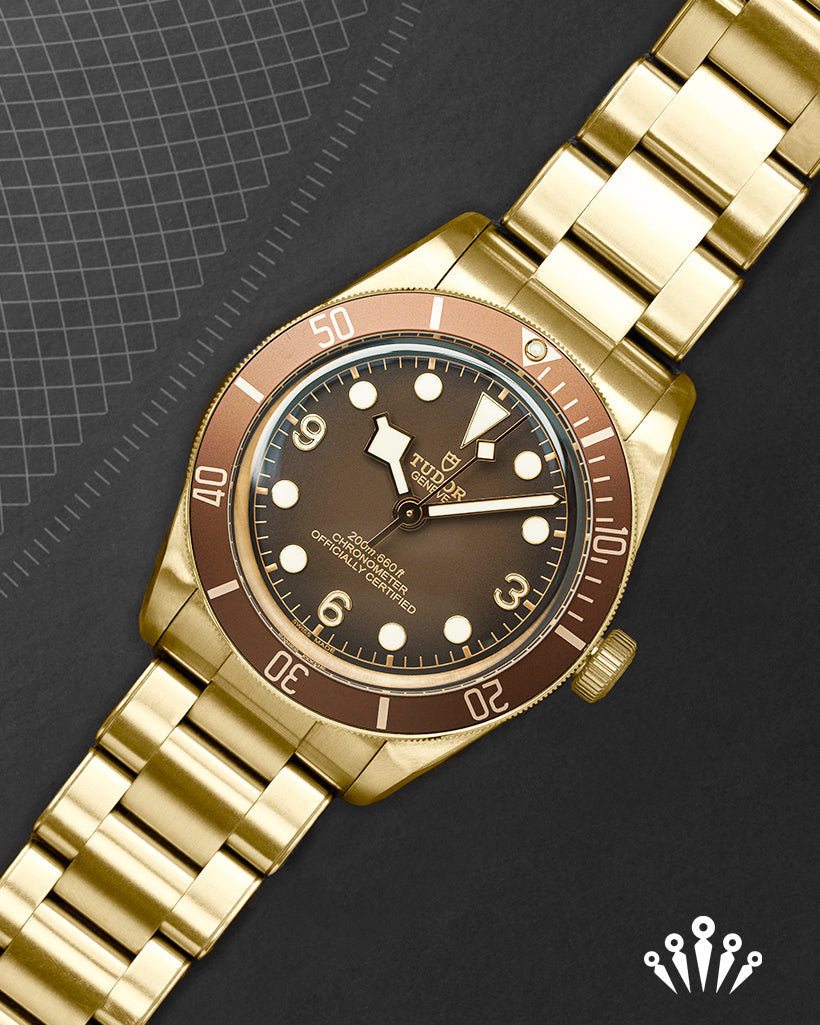 Tudor Black Bay 58 Bronze